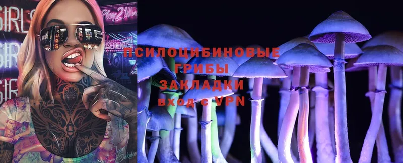 Галлюциногенные грибы Psilocybe  OMG рабочий сайт  Долгопрудный 